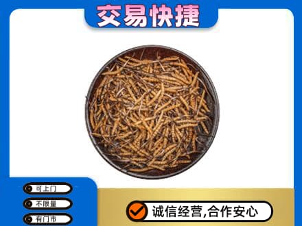 遵义市礼品回收虫草.jpg